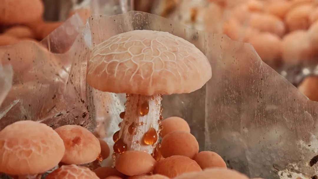 1773908340875072325.jpg 640 (2).jpg