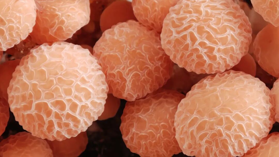 1773908373964087363.jpg 640.jpg